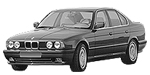 BMW E34 C206A Fault Code